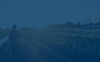 Market Volatility – Like Spring Weather, Unpredictable but Not Unexpected