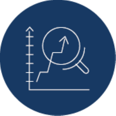 Managing Assets Icon